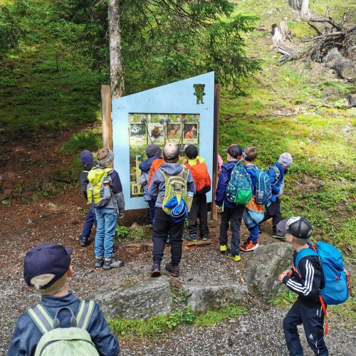Bergeralm1