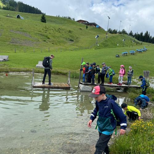 Bergeralm99