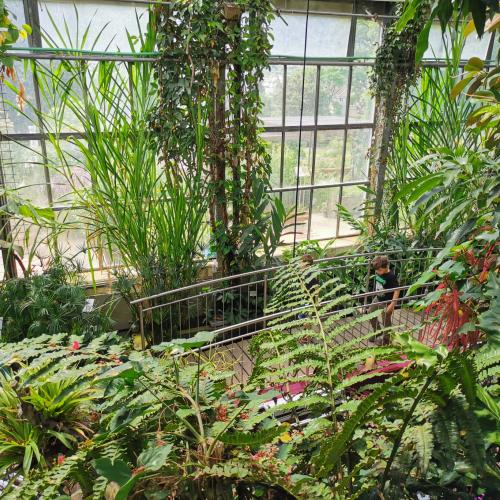 Botanischer Garten1