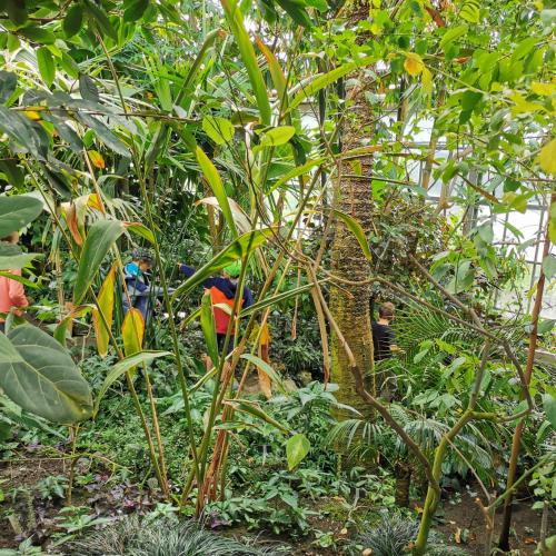 Botanischer Garten2