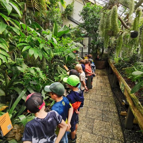 Botanischer Garten4