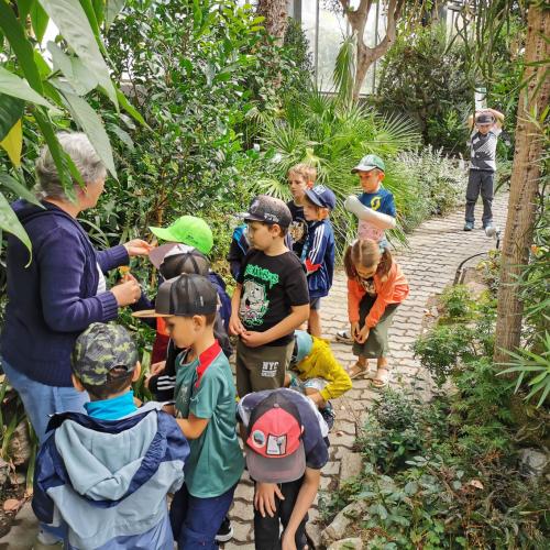 Botanischer Garten5