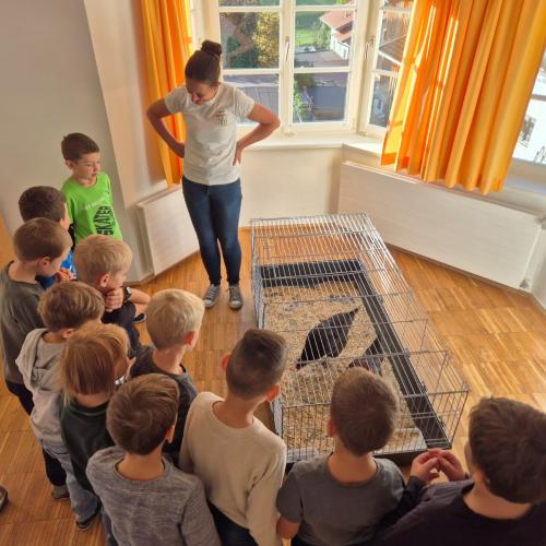 Bäuerinnen 8