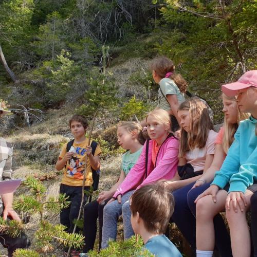 Sagenwanderung 7