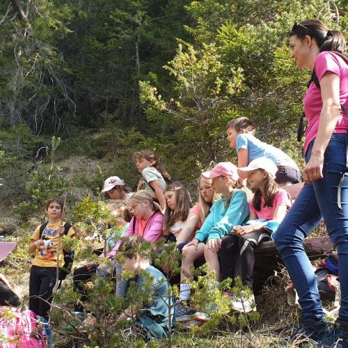 Sagenwanderung 8