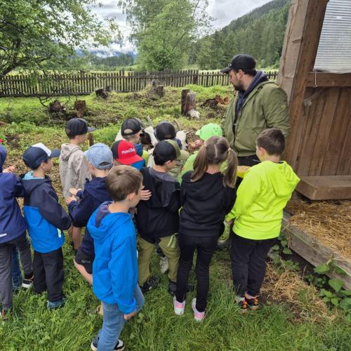 Bild 2