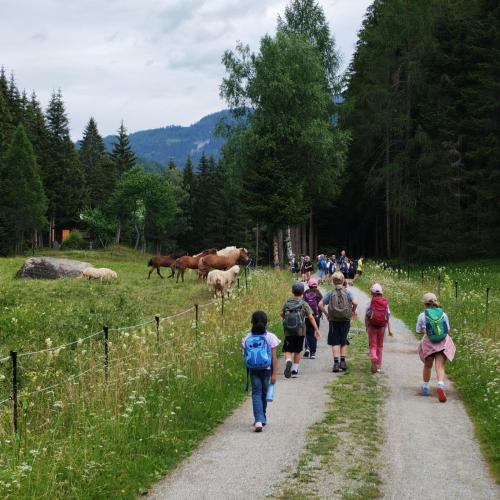 Wandern 