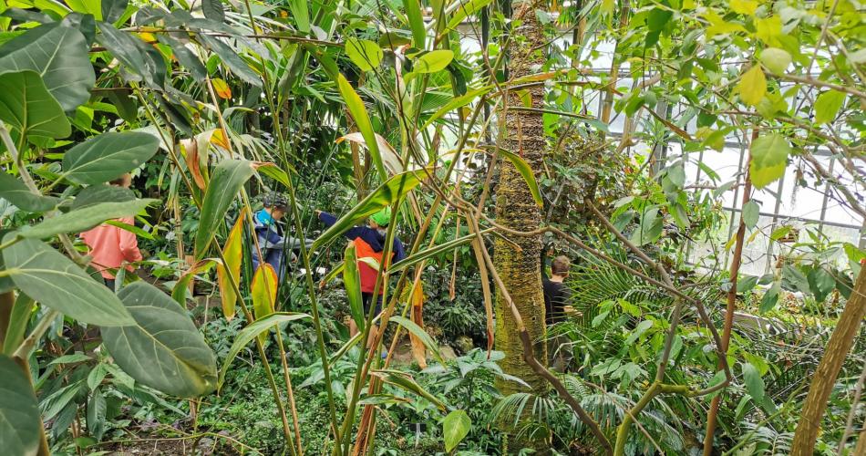 Botanischer Garten2